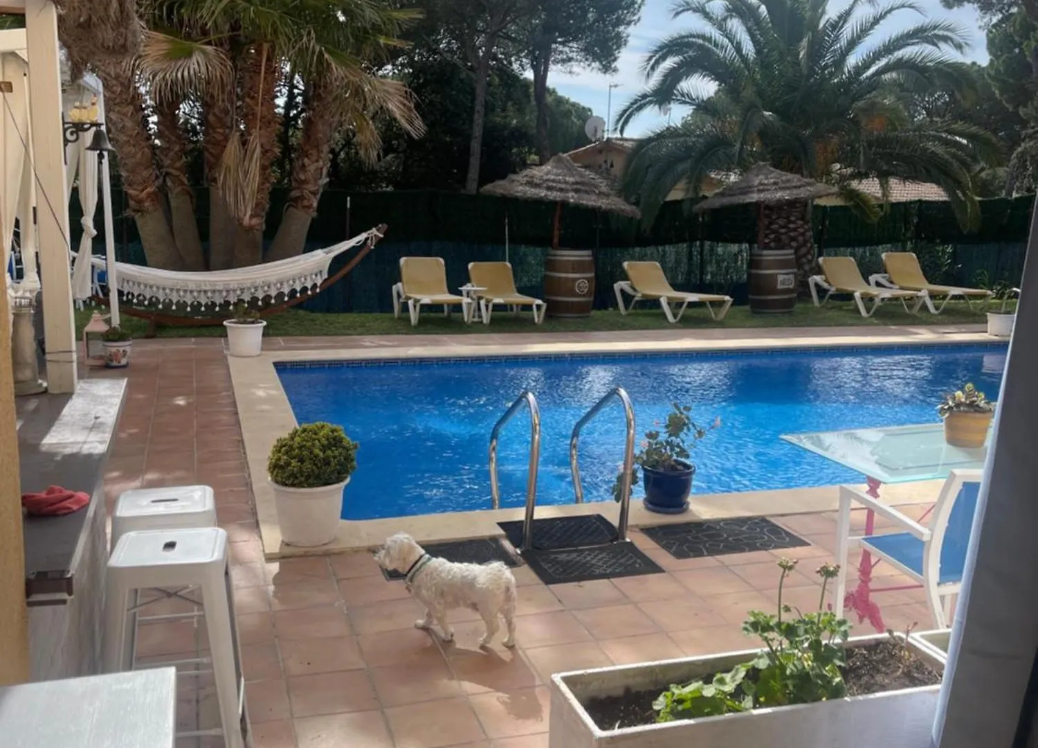 Studio Petit Fleurs Con Piscina Y Patio Calonge  Landhuis