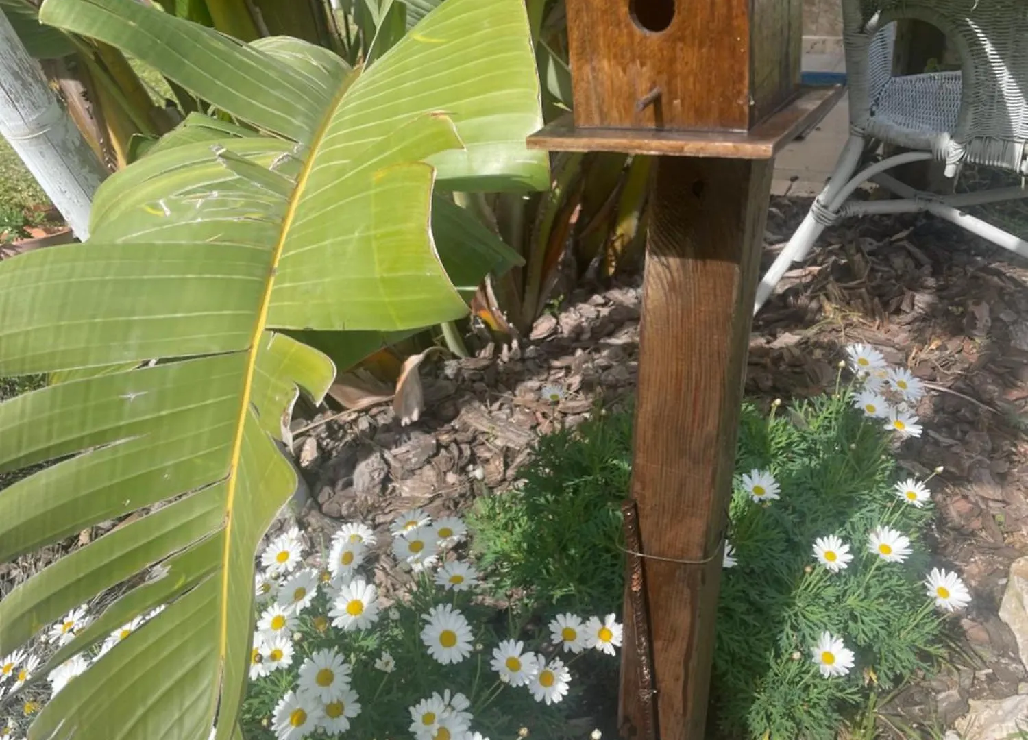 Studio Petit Fleurs Con Piscina Y Patio Calonge  Landhuis Calonge (Catalonia)